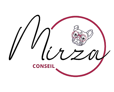 Logo - Mirza Conseil Mirza Conseil